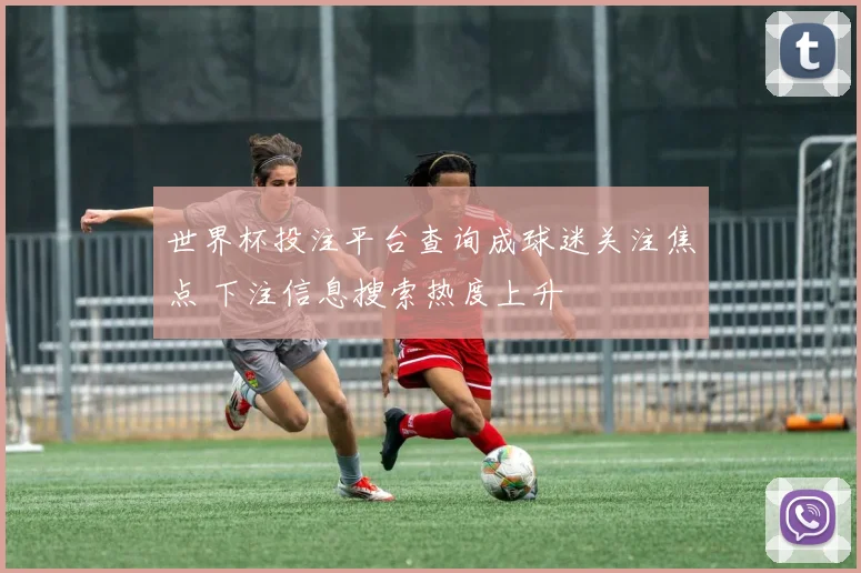 世界杯投注平台查询成球迷关注焦点 下注信息搜索热度上升