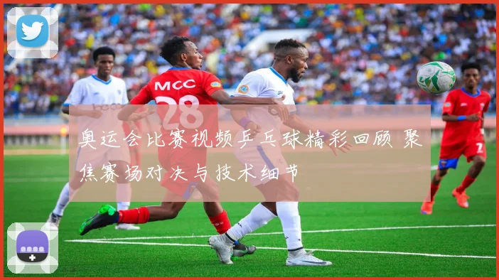 奥运会比赛视频乒乓球精彩回顾 聚焦赛场对决与技术细节