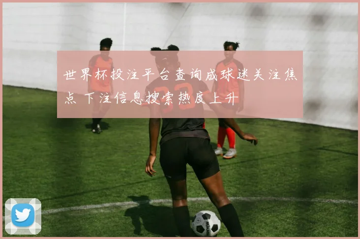 世界杯投注平台查询成球迷关注焦点 下注信息搜索热度上升