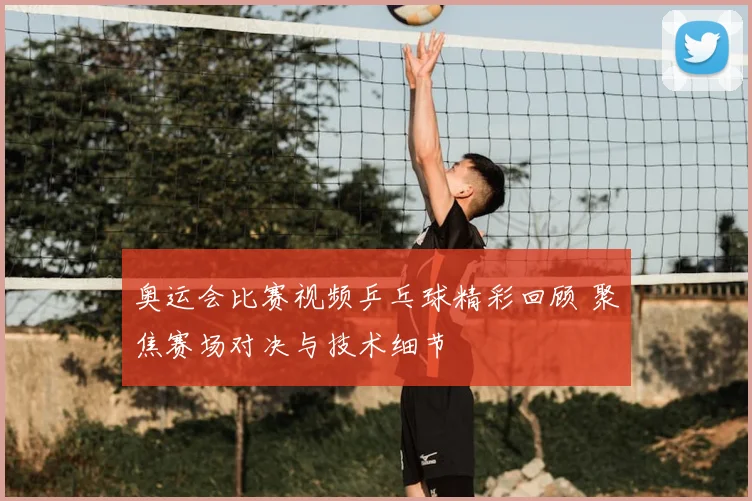 奥运会比赛视频乒乓球精彩回顾 聚焦赛场对决与技术细节
