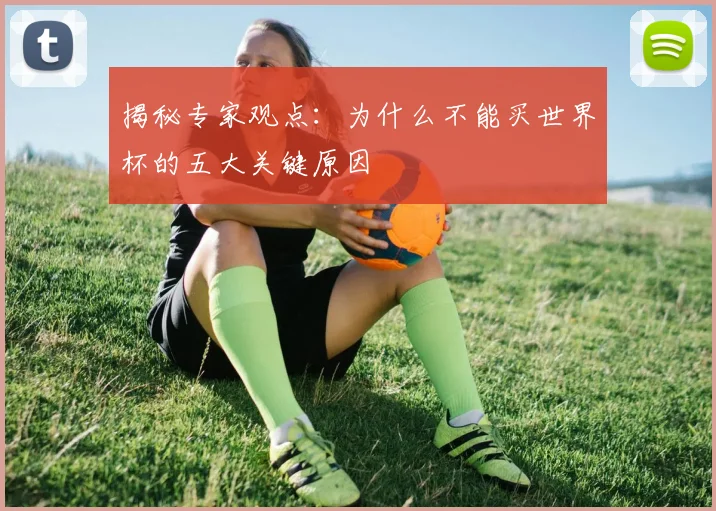 揭秘专家观点:为什么不能买世界杯的五大关键原因