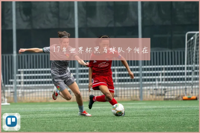 17年世界杯黑马球队今何在