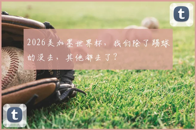 2026美加墨世界杯,我们除了踢球的没去,其他都去了?
