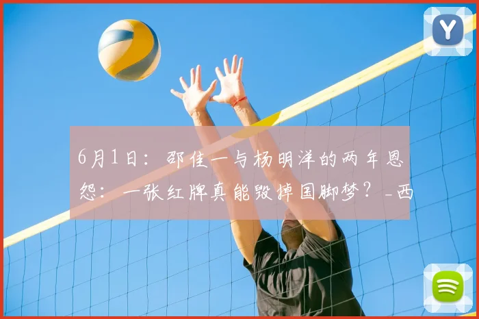 6月1日：邵佳一与杨明洋的两年恩怨：一张红牌真能毁掉国脚梦？_西海岸_青岛_主帅