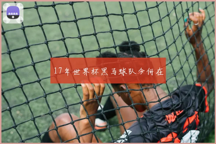 17年世界杯黑马球队今何在