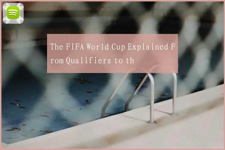 The FIFA World Cup Explained From Qualifiers to th